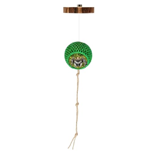 Jumping Spider Climbing Decor Vine - Imitation Rope Cage Accessory | Interactive Terrarium Decoration Toy for Spider Enclosure Reptile Habitat Snake Frog Turtle Use - color: Green