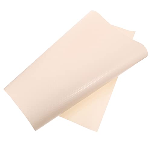 Yardwe Turtle Tank Background Reptile Carpet Snake Bedding Bearded Dragon Tank Mat Non-Slip Eva Liner Terrarium Supplies - color: Beige
