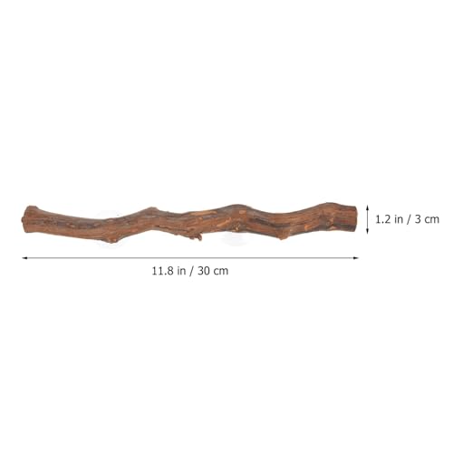 2pcs,Reptile Branch Decor, Natural Forest Branch Terrarium Climb Corner Tree Branch Background Decoration Plant Decoration with Suction Cup for Snake Lizard and Leopard Gecko