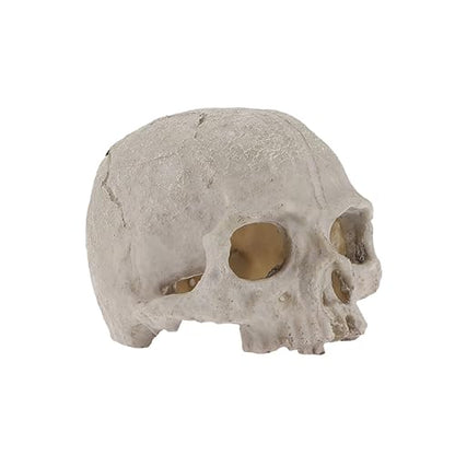 DOITOOL 2pcs Fish Tank Skull Decorations Resin Skull Ornaments Aquarium Landscaping Accessories Skull Props for Reptiles Habitat