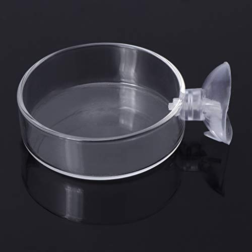 Shrimp Feeder Glass Feeding Dish Aquarium Fish for Reptiles Food Bowl with Suction Cups 2.4x0.7 Inch