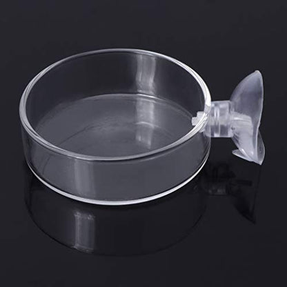 Shrimp Feeder Glass Feeding Dish Aquarium Fish for Reptiles Food Bowl with Suction Cups 2.4x0.7 Inch