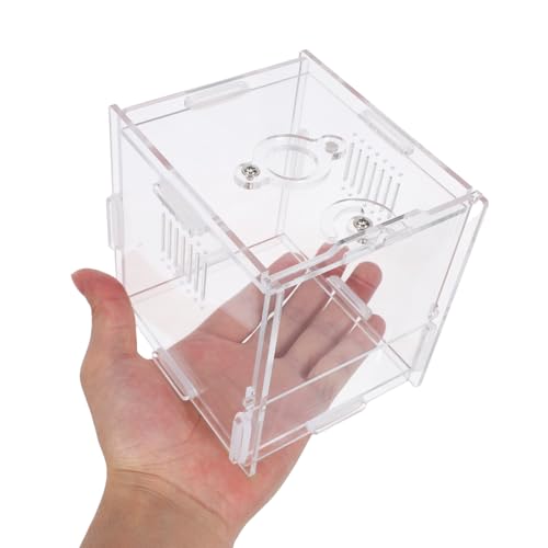 Small Acrylic Reptile Breeding Box with Ventilation Animal Habitat Cage for Spiders Jumping Spiders and Small Amphibians Terrarium for Indoor Pet Keeping