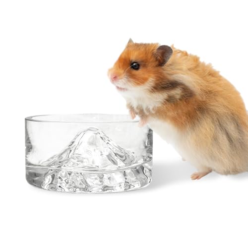 BNOSDM Hamster Food and Water Bowl Mountain Fuji Style Glass Drinking Dwarf Hamster Feeder Anti-Turning Dish for Syrian Hamsters Gerbils Mice Rats or Other Similar-Sized Pets (Transparent) - color: Transparent