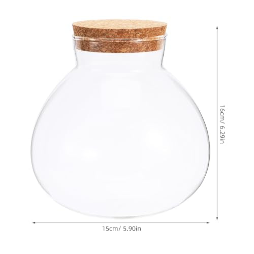 NUOBESTY Glass Terrarium Jar with Cork Lid, 6x6.3 Inch Closed Terrarium for Succulent Moss and Fern, DIY Miniature Desktop Garden for Home & Office Decor (No Plants)