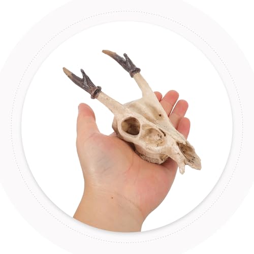 Reptile Skull Hideout Resin Terrarium Decoration Medium Size Snake Lizard Habitat Cave Suitable for Bearded Dragons and Geckos