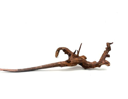 Large Generic Natural Coral Wood Branch Decoration, Brown Driftwood, 10 Inch, Waterproof, for Aquarium Terrarium Fish Tank, Reptile Climbing 12-24 inch 2Pc
