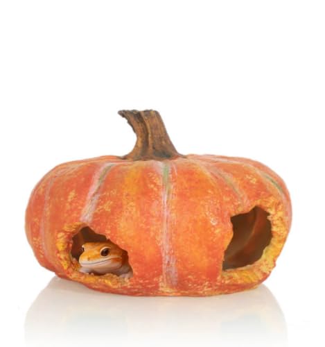 Pumpkin Reptile Hide for Leopard Gecko Hiding & Camouflage | Sunbathing Platform for Bearded Dragon & Leopard Gecko, Decorative Tank Accessory - color: Orange-Mediu