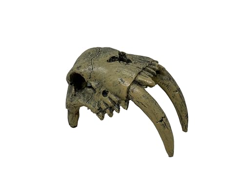 The Bio Dude - Dino Decor Sabertooth Tiger - Natural Looking Accent for bioactive terrariums and vivariums