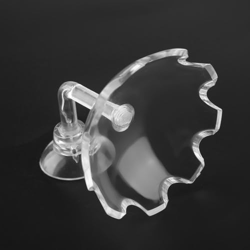 2.3in Acrylic Shrimp Feeding Dish Suction Cup Aquarium Bowl Smudge Resist Easy Clean for Hermit Crab Reptile Food