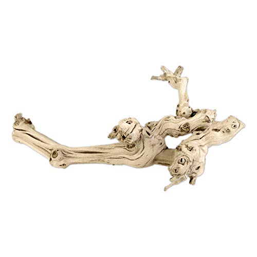 Koyal Natural Grapewood Vine Branch, 6-Inch