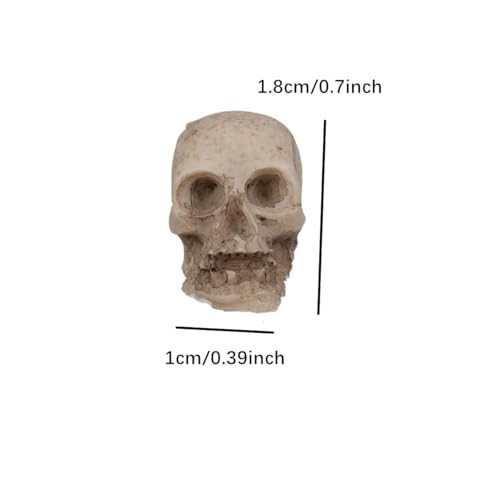 20PCS Mini Skull Figurine Miniature Set, Tiny Resin Skeleton Bone Skull Heads Statues for Halloween Prank Props, Desktop, Witchcraft, Haunted Dollhouse Micro Landscape Figure DIY Crafts Accessories