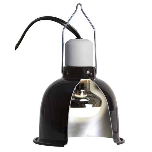 Zoo Med Reptile Basking Spot Lamp 25 Watts (2)