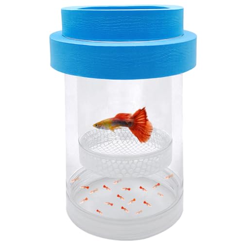 Floating Fish Breeding Isolation Box for Aquarium Tank Plastic Mesh Hatchery Incubator Breeder Box for Baby Fish Betta Shrimp Clownfish Guppy (Blue, Medium) - color: Blue, size: Medium
