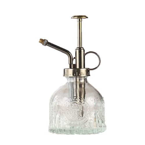 Plant Mister in Glass 200ML, Small Spray Bottle with Plastic Top Pump, Fine Mist Decorative Sprayer Tiny Watering Can Gift for Indoor Outdoor Succulent House Plant (Transparent) - color: Transparent