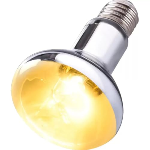 Basking Light for Reptiles, 2-Pack 100W