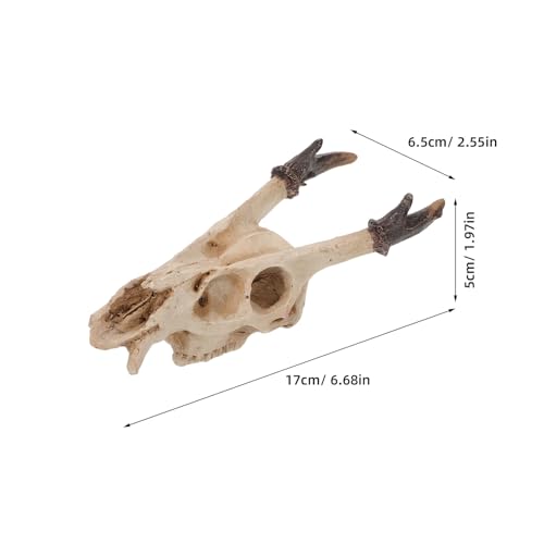 Reptile Skull Hideout Cave Resin Decoration Medium Size Terrarium Shelter for Bearded Dragons Lizards and Tortoises Habitat Accessories