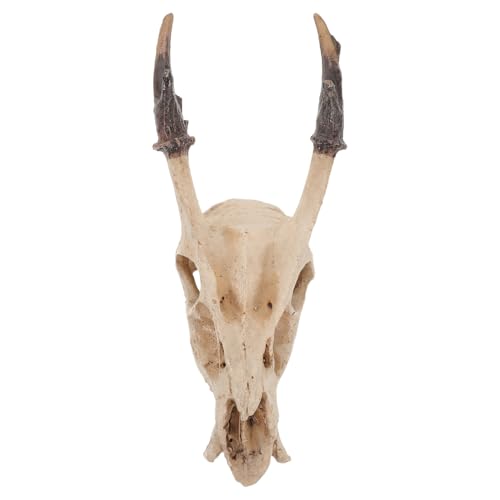 Reptile Skull Hideout Resin Ornament Medium Size Skull for Snake Habitat Fish Tank Hideout Terrarium Decoration for Lizards Geckos