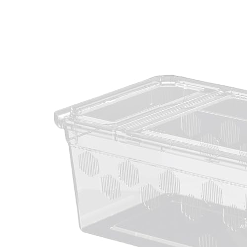 Reptile Feeding Box, Clear Terrarium, Snake Habitat Cage, Pet Breeding Box, Mini, with Terrace