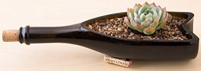 Bonsai Jack Succulent, Cactus and Bonsai Soil - Jacks Gritty Mix - 3 Gallons – Fast Draining – Fight Root Rot – Optimized pH - size: 3 Gallon (12 Dry Quarts)