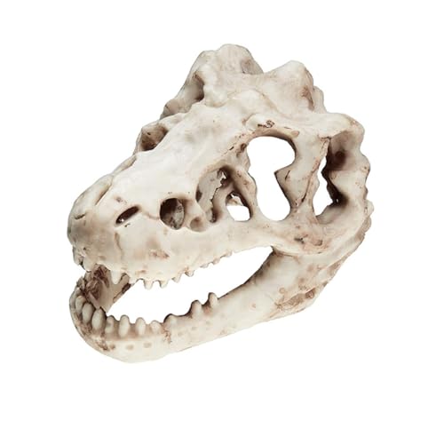 Dinosaur Skull Statue Small Resin Dinosaur Head Skull Desert Reptile Decor Skull Fish Tank Decorations Home Landscape Decor Bearded Dragon Accessories (Dinosaur) - color: Dinosaur