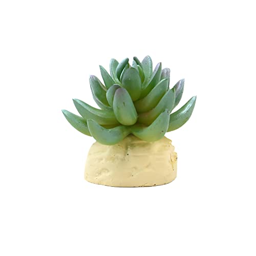 VOCOSTE Cactus Plant Terrarium Reptile Tank Habitat Decor for Reptiles, Plastic, Green