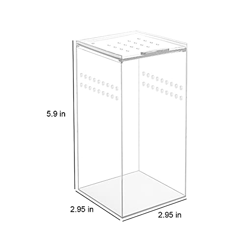 NANEEZOO Magnetic Acrylic Case, 2.9x2.9x6 Inch Nano Arboreal Tarantula Enclosure Reptile Habitat Terrarium Breeding Box for Spider Scorpion Sling Isopods Lizards Invertebrates Insect Mantis