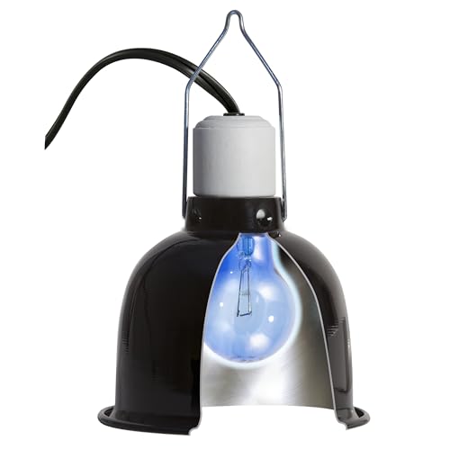 Zoo Med (3 Boxes) 2-Pack Daylight Blue Reptile Bulb, 60-watt - 6 Bulbs Total