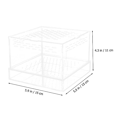 Clear Hatching Container with Lid for Spider Scorpion Reptile Breeding Box with Ventilation for Jumping Spider Transparent Terrarium