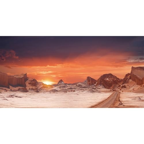 AWERT 36x20 inches Sun and Desert Terrarium Background Orange Reptile Habitat Background Durable Polyester Background - size: 36x20in/90x50cm