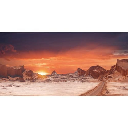 AWERT 30x12 inches Sun and Desert Terrarium Background Orange Reptile Habitat Background Durable Polyester Background - size: 30x12in/75x30cm