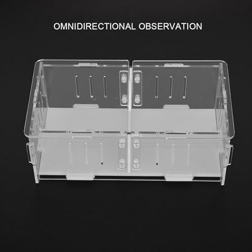 Acrylic Reptile Breeding Box, Feeding and Landscaping Container, 19 x 11 x 7.2cm - Durable Transparent Design, Movable Partition, Easy Viewing and Cleaning