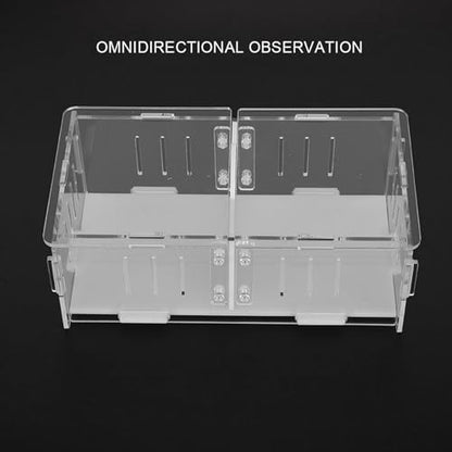 Acrylic Reptile Breeding Box, Feeding and Landscaping Container, 19 x 11 x 7.2cm - Durable Transparent Design, Movable Partition, Easy Viewing and Cleaning