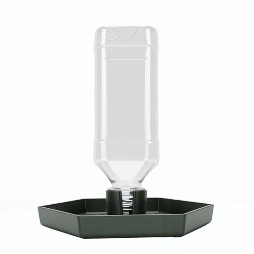 GLOGLOW Reptile Water Dispenser Automatic Gravity Feeder Tank Hex Anti Slip Tray, Low Level No Spill Design for Bearded Dragon Turtle Snake, Self Refilling Terrarium Bowl (Dark Green) - color: Dark Green