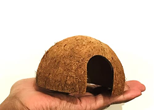 Hexagrowth Coco Hut, Betta Fish cave, Shrimp Hideout, Pleco shelter, Coconut Shell for Hermits, Toad, 2 Packs