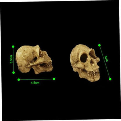 Gecko Tank Accessories 2pcs Mini Skulls for Aquarium Human Skull Aquarium Decoration Reptile Tank Decor Style