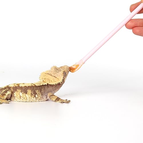 2Pcs Reptile Powder Fruit Mixing Stirring Food Feeding Spoon fit Crested Gecko Gargoyle Bearded Dragon - Pink