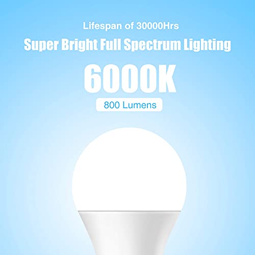 Full Spectrum Light Bulb, 6000K Natural Sunlight Bulbs, 9W 60W Equivalent LED Light Bulb, Natural Light Bulbs A19, E26/E27 LED Light Bulbs for Home, 3 Pack - color: 6000k Daylight, size: 3 Count (Pack of 1)