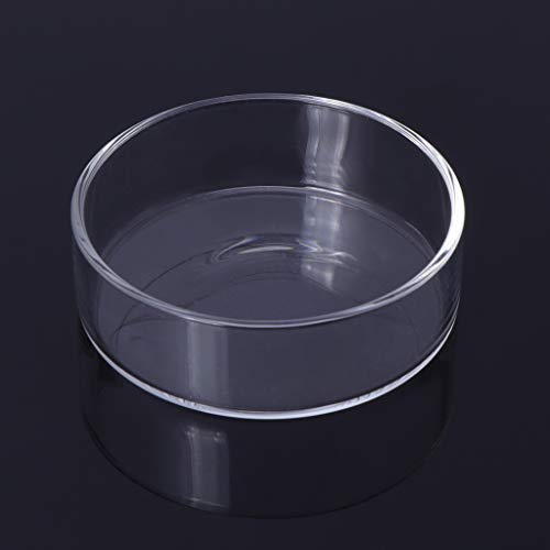 Shrimp Feeder Glass Feeding Dish Aquarium Fish For Tank Reptiles Round Clear Food Bowl 6cm-9.8cm Transparent Modern Floating Design Fish Feeder Feeding Dish