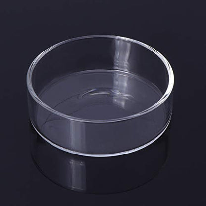 Shrimp Feeder Glass Feeding Dish Aquarium Fish For Tank Reptiles Round Clear Food Bowl 6cm-9.8cm Transparent Modern Floating Design Fish Feeder Feeding Dish