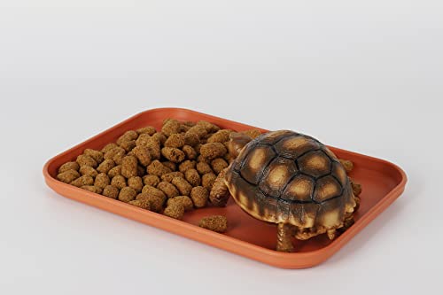 Reptile Large Water Dish, Tortoises Food Bowl - M (11.8 * 8.6 * 0.6) - size: M