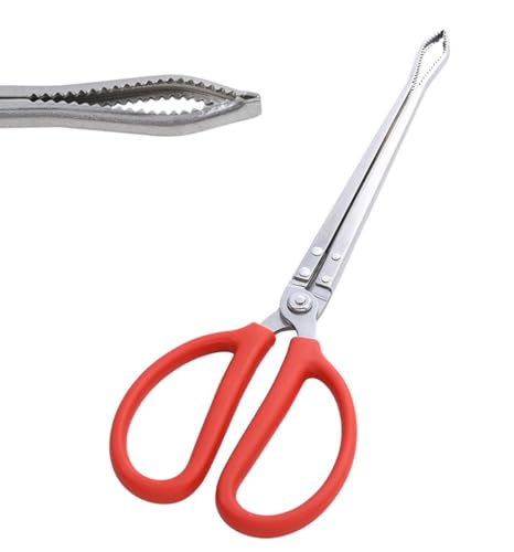 Toasis Stainless Steel Crabbing Tongs for Live Crabs Eels (Curved Tip) - style: Curved Tip