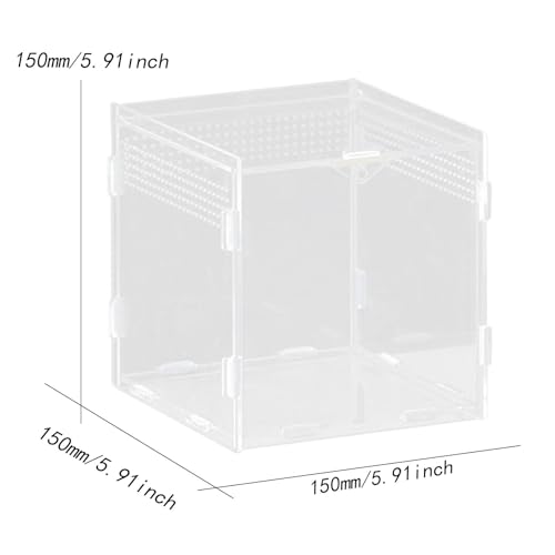 Reptile Breeding Box Terrarium Clear Animal Habitat Cage with Ventilation Holes for Geckos Frogs Hermit Crabs- 15x15x15cm - size: 15x15x15cm