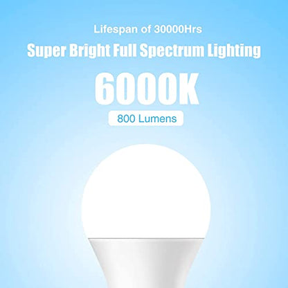 Full Spectrum Light Bulb, 6000K Natural Light Bulb, LED Light Bulb 9W 60W Equivalent, Sun Light Bulbs A19, E26/E27, 1 Pack - color: 6000k Daylight, size: 1 Count (Pack of 1)