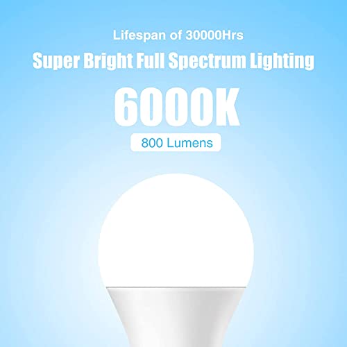 Full Spectrum Light Bulb, 6000K Natural Light Bulb, LED Light Bulb 9W 60W Equivalent, Sun Light Bulbs A19, E26/E27, 1 Pack - color: 6000k Daylight, size: 1 Count (Pack of 1)