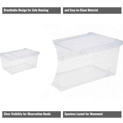 Reptile Terrarium with Ventilation for Small Animal Housing and Habitat - size: 32.5x22x15 cm