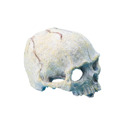 Skull Head Reptiles Hideouts Caves Resin Landscape Decoration Fishtanks Terrariums Accessories for Snake Bearded Dragon Resin Skull Head Decors for Aquariums