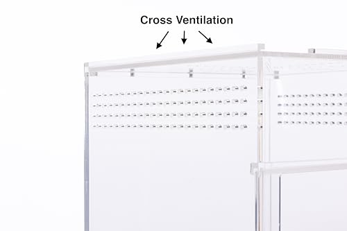 EctoTherm Jumping Spider Enclosure - Complete Acrylic Terrarium Habitat for Spiders, Tarantulas, Praying Mantis - Small Spider House with Front Opening Door - Bug Enclosure for Arboreal Species - size: Small