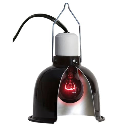 Zoo Med Nightlight Red Reptile Bulb, 40 Watts - size: 40 W