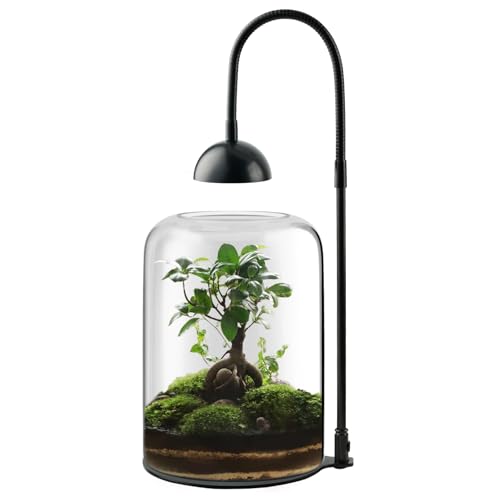 Glass Plant Terrarium with LED Grow Light, Adjustable Ventilation Desktop Indoor Planter for Venus Fly Trap, Moss & Succulents, 8.2" Borosilicate Mini Greenhouse for Home Office Decor